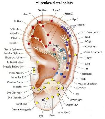 Auricular Acupunture at Edmonton, AB