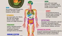 Explanation of Stress Affecting Body by All Deep Massage & Wellness Clinic