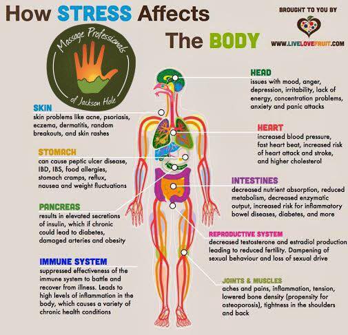 Explanation of Stress Affecting Body by All Deep Massage & Wellness Clinic